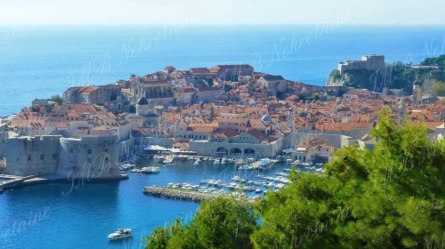 House with sea view in Dubrovnik